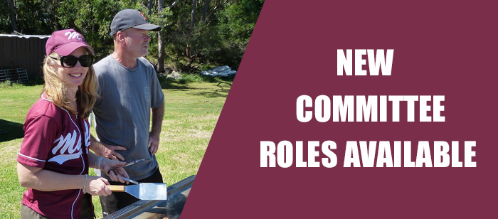 New Committee Roles Available
